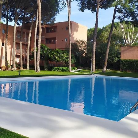 Bonito Apartamento, Con Piscina, Excelente Wifi Y Aire Acondicionado Палс Екстериор снимка
