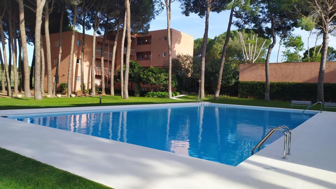 Bonito Apartamento, Con Piscina, Excelente Wifi Y Aire Acondicionado Палс Екстериор снимка