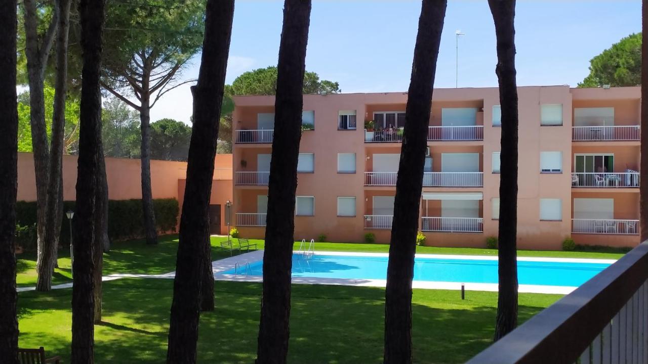Bonito Apartamento, Con Piscina, Excelente Wifi Y Aire Acondicionado Палс Екстериор снимка