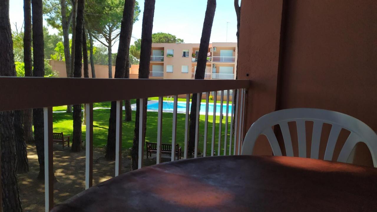Bonito Apartamento, Con Piscina, Excelente Wifi Y Aire Acondicionado Палс Екстериор снимка
