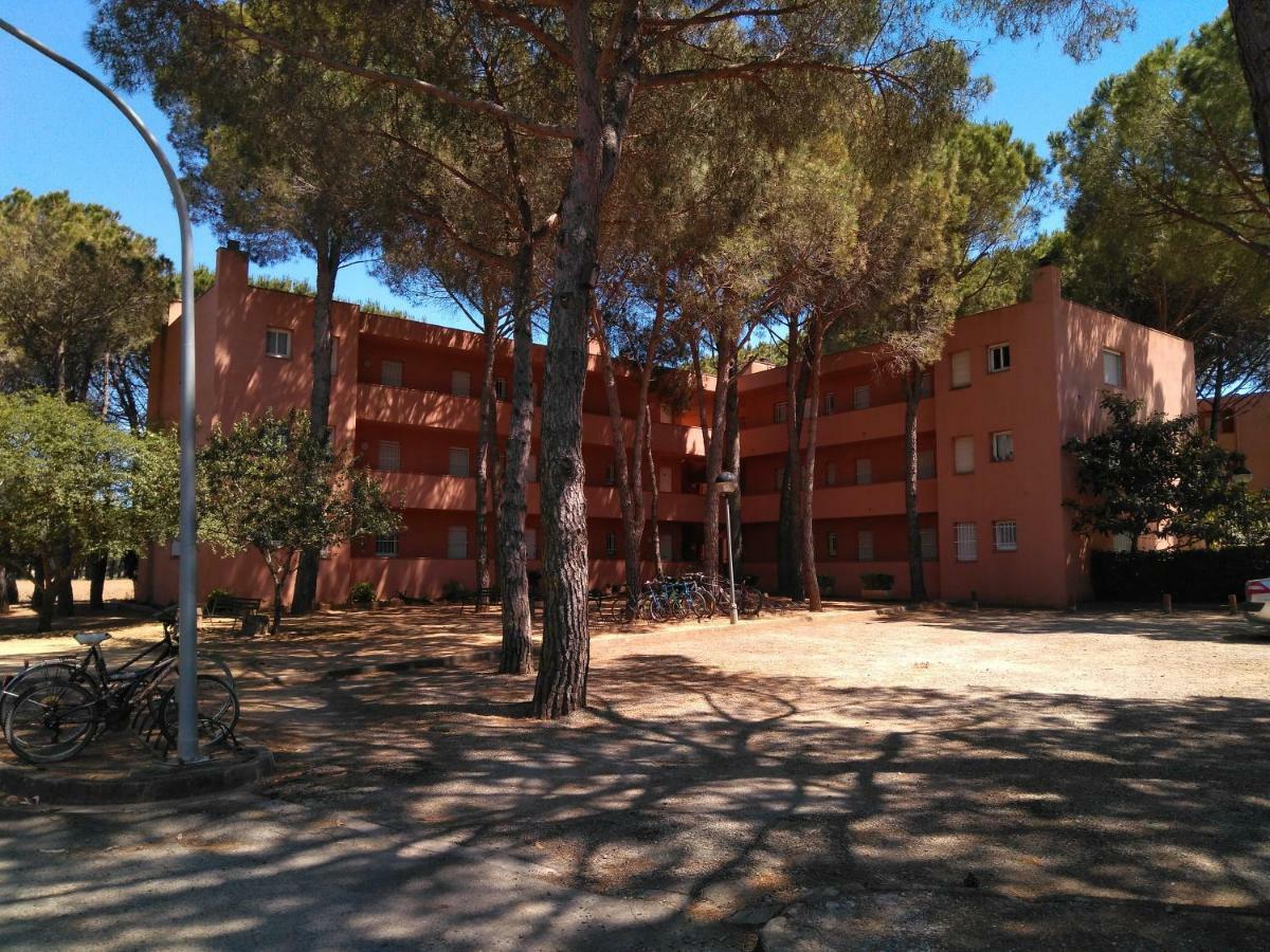 Bonito Apartamento, Con Piscina, Excelente Wifi Y Aire Acondicionado Палс Екстериор снимка